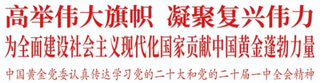 中国黄金党委认真传达学习党的二十大和党的二十届一中全会精神 