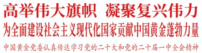 中国,黄金,党委,认真,传达,学习,党的,二十, . 中国黄金党委认真传达学习党的二十大和党的二十届一中全会精神